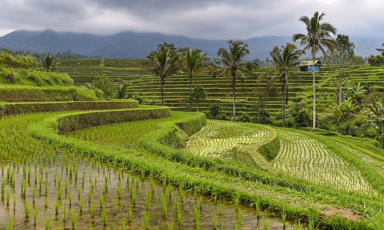 Bali Signature Highlights 4D3N