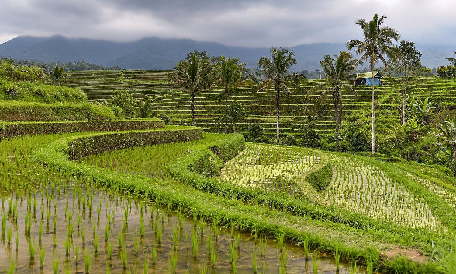 Bali Signature Highlights 4D3N