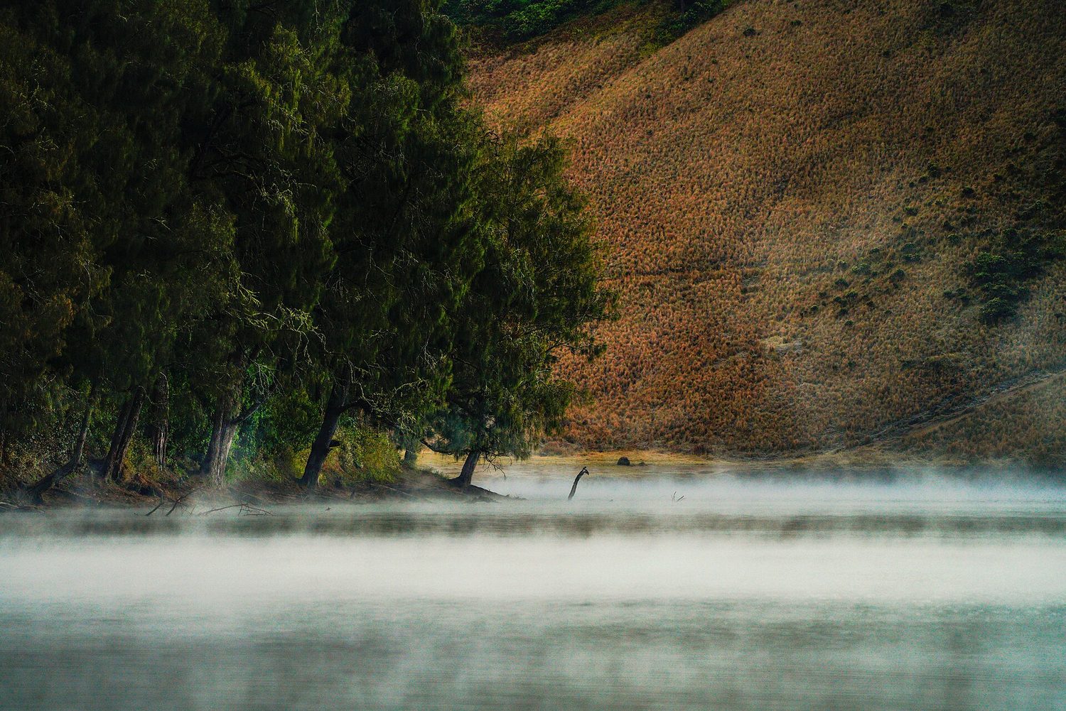 Trekking Ranu Kumbolo & Semeru 3D2N