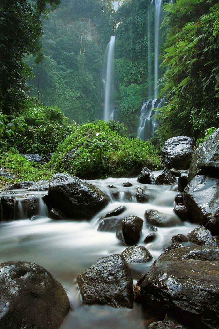 Air Terjun Bali Utara: Sekumpul & Munduk