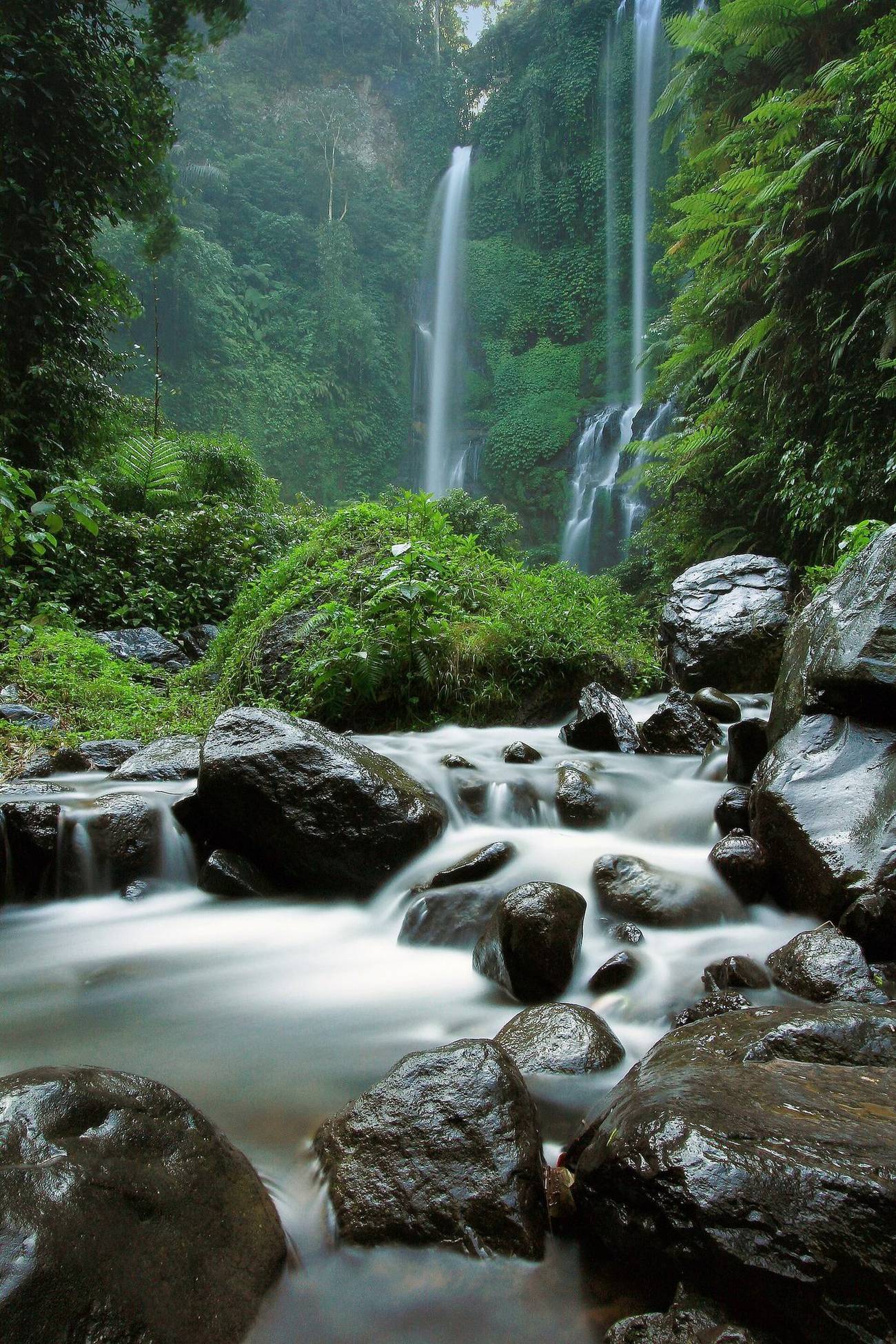 Air Terjun Bali Utara: Sekumpul & Munduk