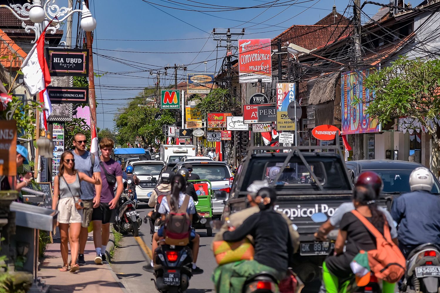 Promo Spesial: Ubud Full Day Tour